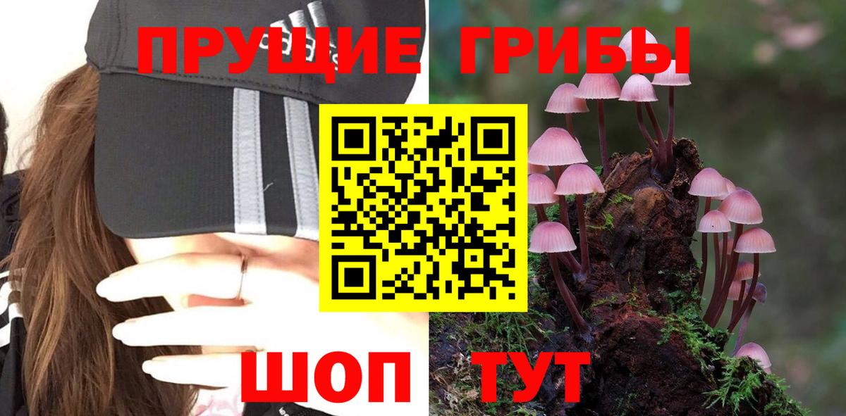 Уссурийск  Псилоцибиновые грибы мицелий  Вход с VPN  Галлюциногенные грибы Cubensis 